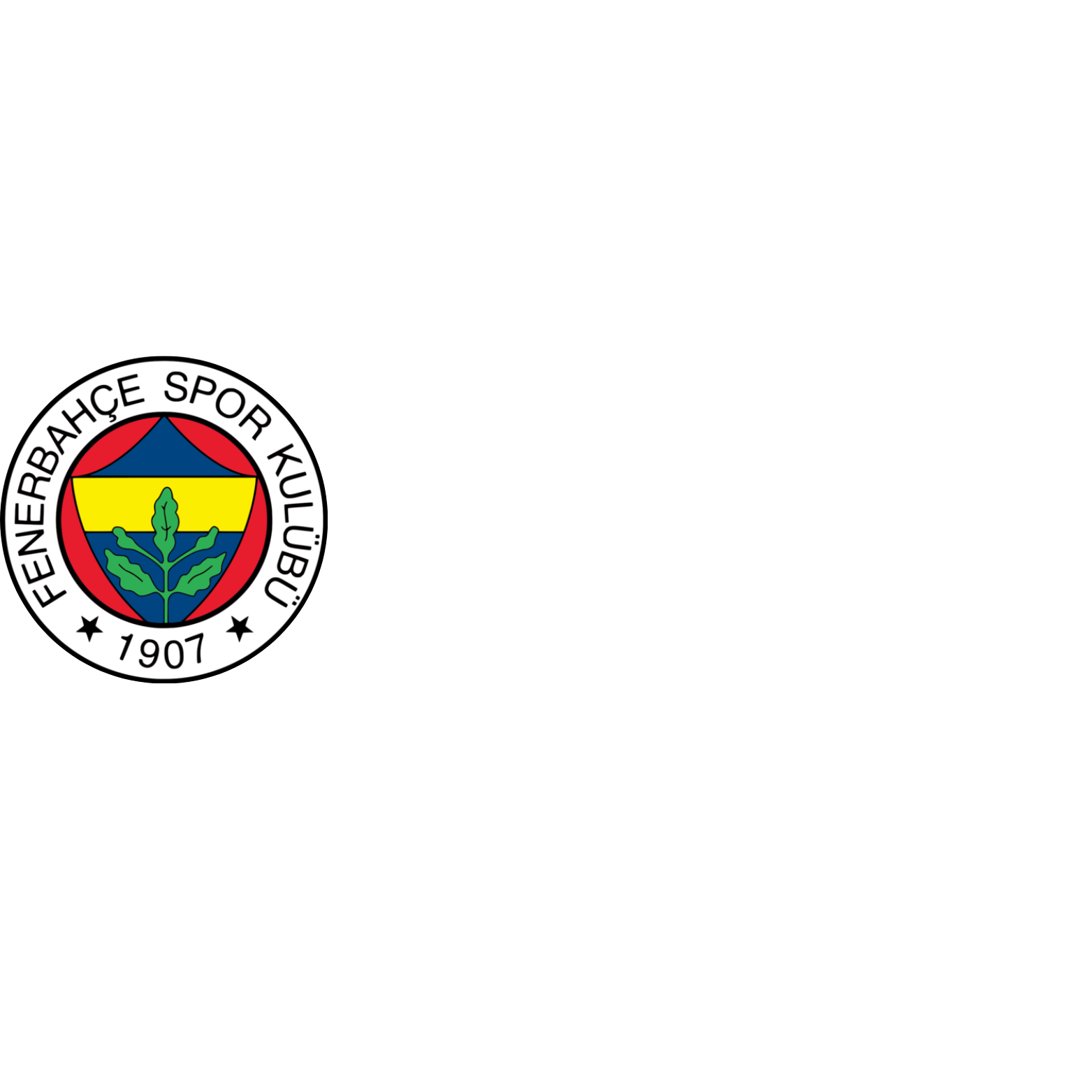 Fenerbahçe Cimnastik Okulu İstanbul Kurtköy